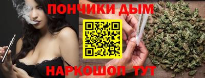 гидра Бердск