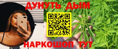 гидра Бердск