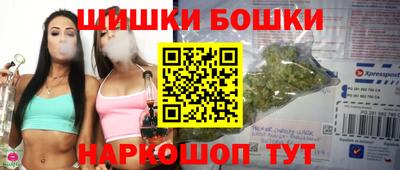 гидра Бердск