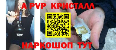 гидра Бердск