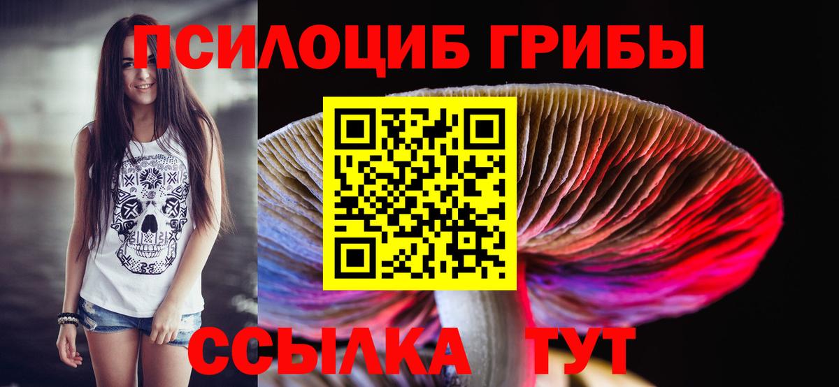 Псилоцибиновые грибы GOLDEN TEACHER Каменка