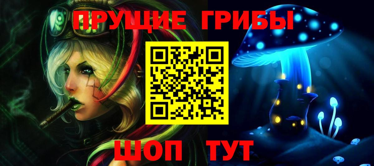 сколько стоит  Вход с VPN  Каменка  Псилоцибиновые грибы мухоморы 